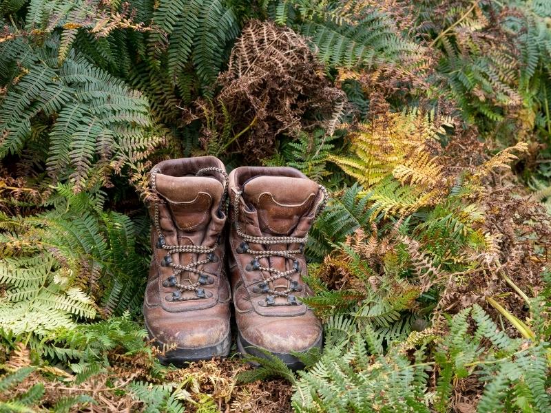 Chaussures de randonnée usées en forêt