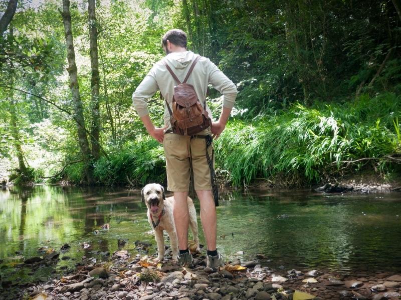 Un chien et son maître au bord d'un ruisseau en randonnée