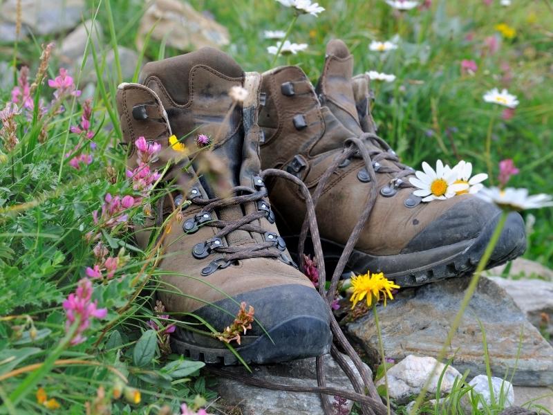 Chaussures de randonnée propres dans la nature