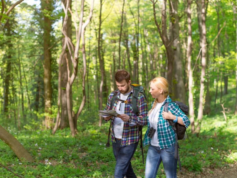 Couple en forêt qui lit une carte